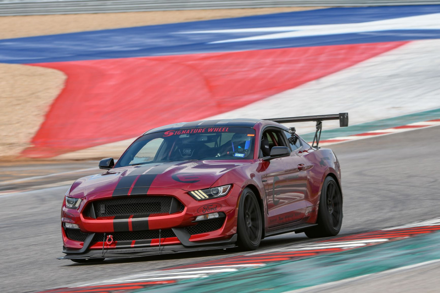 Ford Mustang Shelby GT350 GT500 S550 GT-250 Carbon Fiber Adjustable Wing 2015-2017